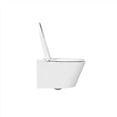 Встроенный умный туалет